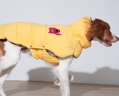 Banana Mania Padding Coat