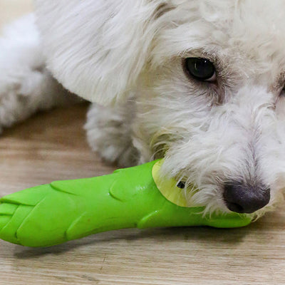 Bamboo Shoot Rubber Dog Toy