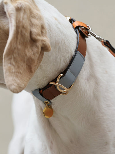 Pashmak Dog Collar