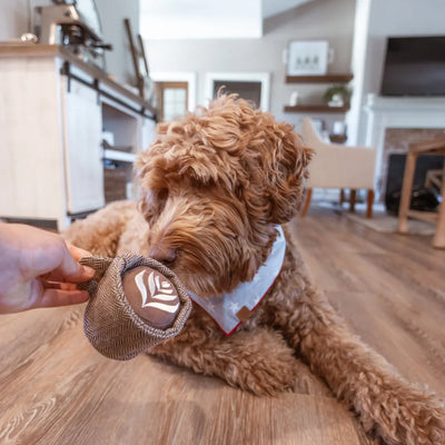 LATTE POP Toy