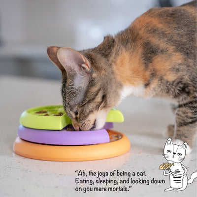 CAT PUZZLE & FEEDER IN ONE - KITTY LICKIN' LAYERS