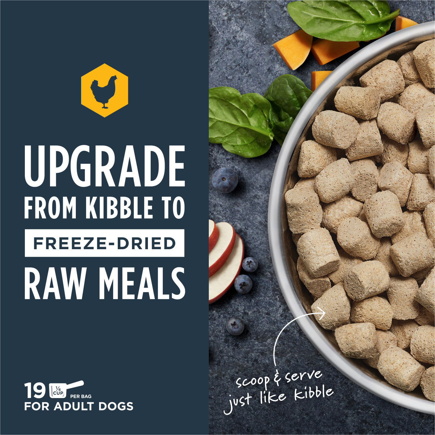 Instinct Raw Freeze-Dried Meals - Cage-Free Chicken Recipe (For Dogs)