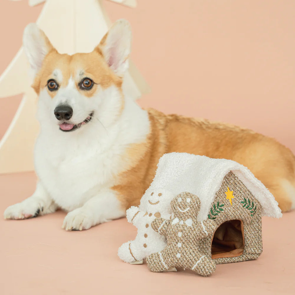 Gingerbread House Dog Toy