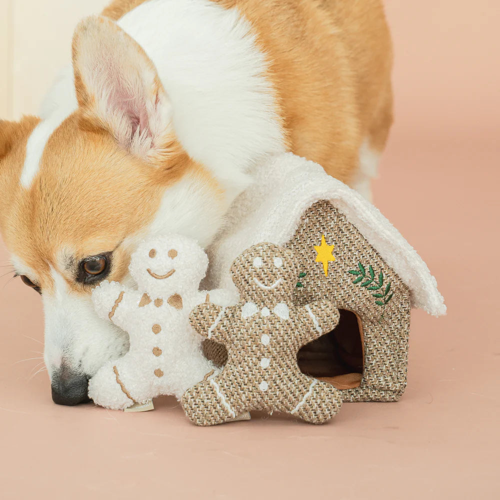 Gingerbread House Dog Toy