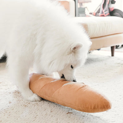 GIANT BAGUETTE - Enrichment Pockets Toy