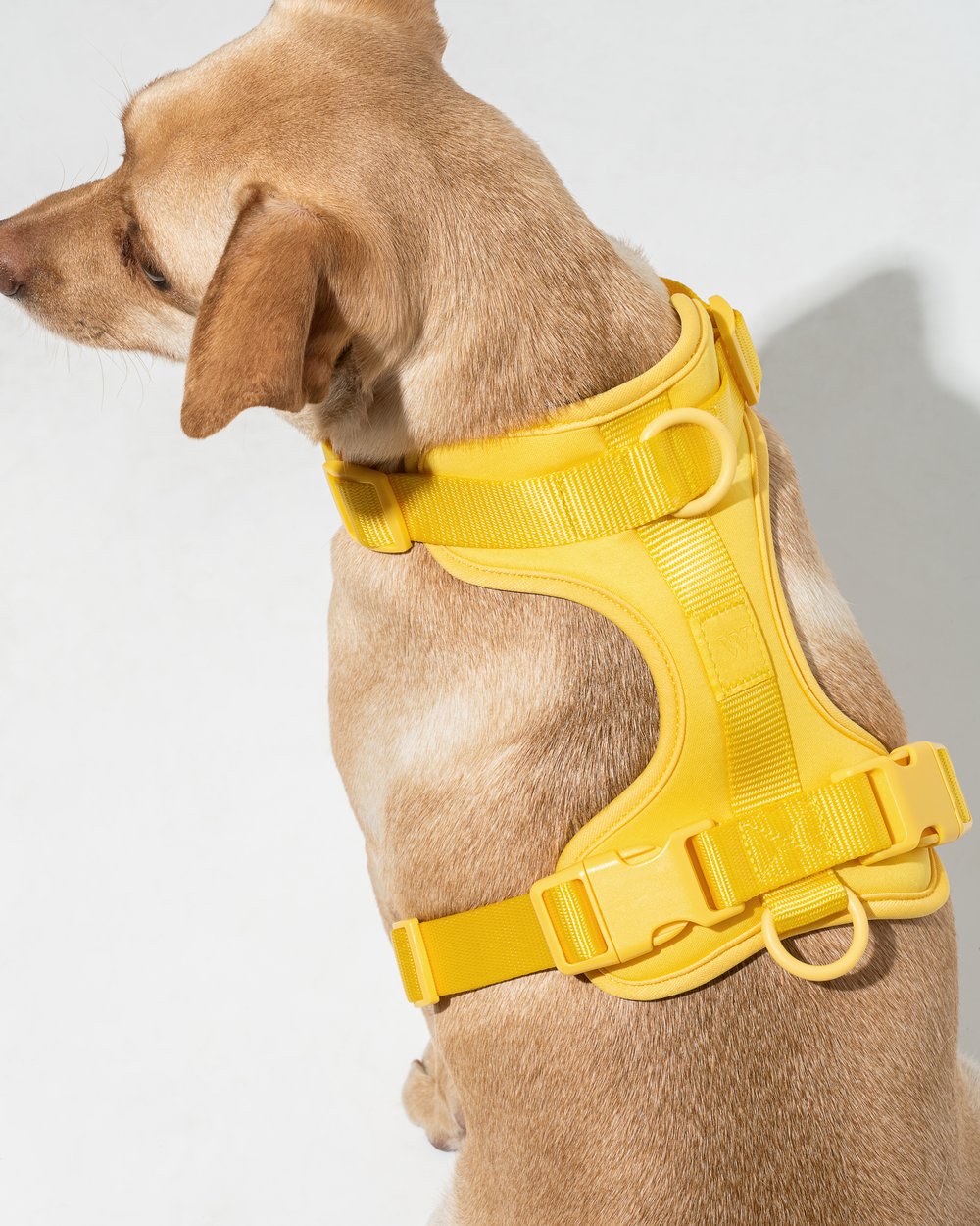 Comfort Pet Harness - SALE