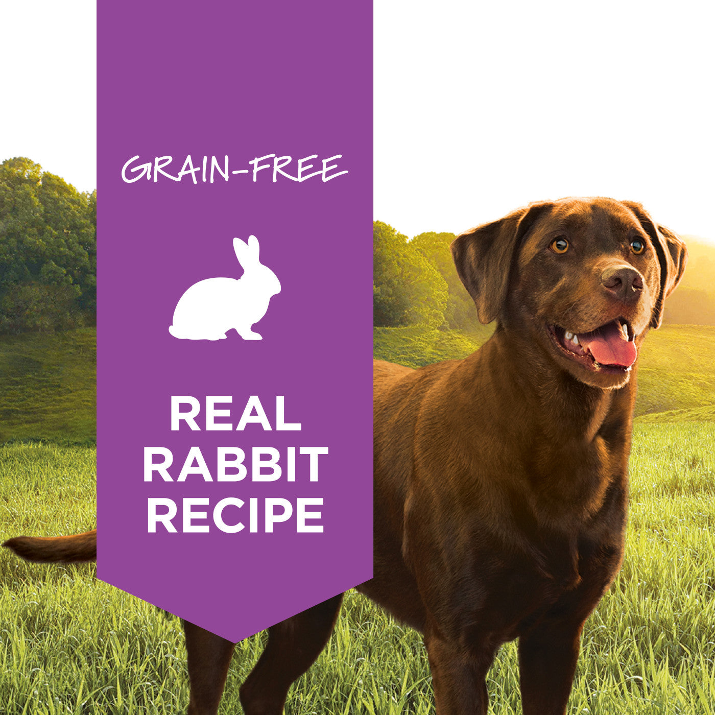 Instinct - Dog Can Food - Original Real Rabbit Recipe