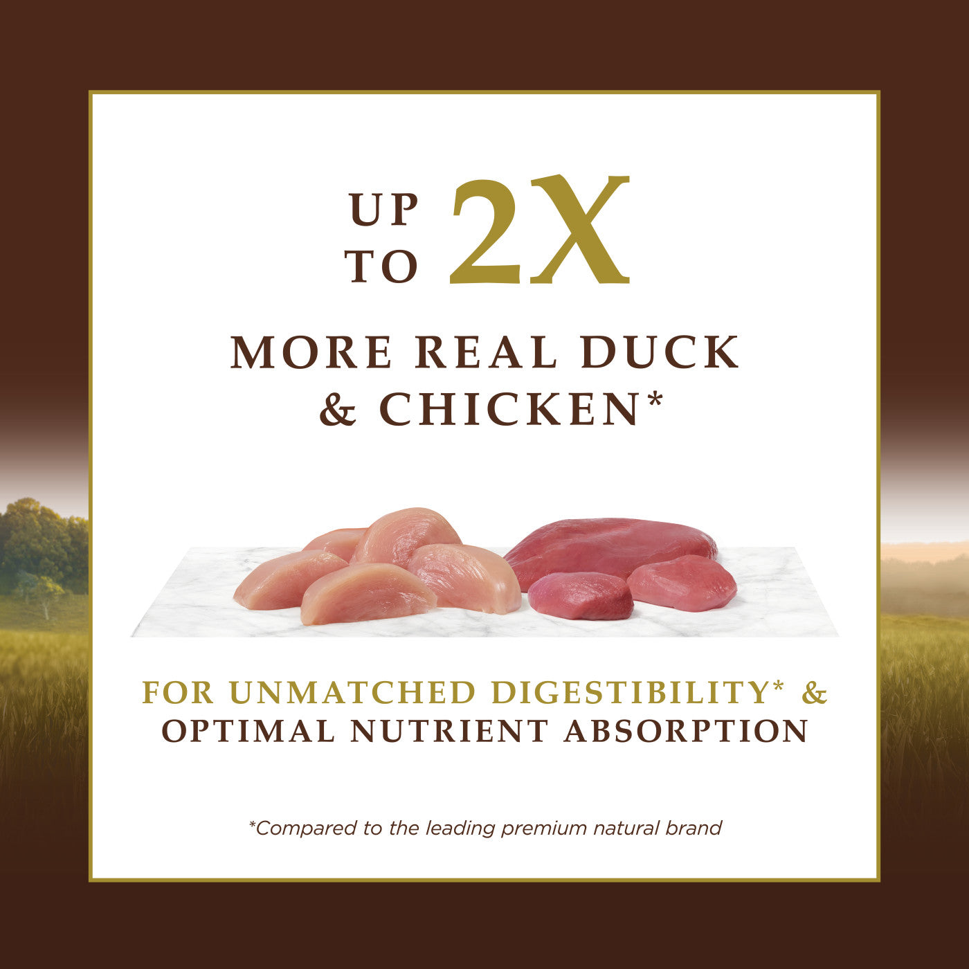 Instinct - Cat Kibble - Ultimate Protein Cage-free Duck Recipe