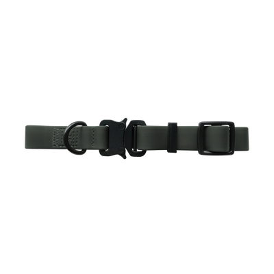AVA Quick-release metal buckle collar