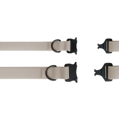 AVA Quick-release metal buckle collar