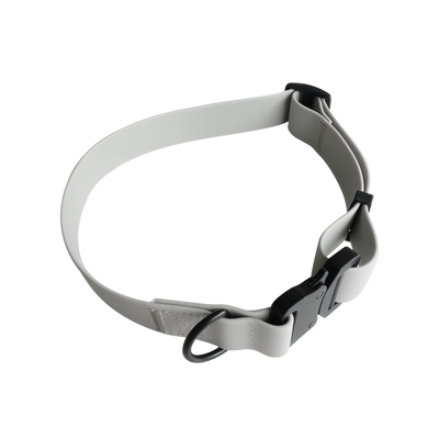 AVA Quick-release metal buckle collar