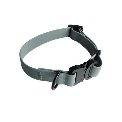 AVA Quick-release metal buckle collar