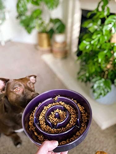 陶瓷慢食碗 - 紫迷宮