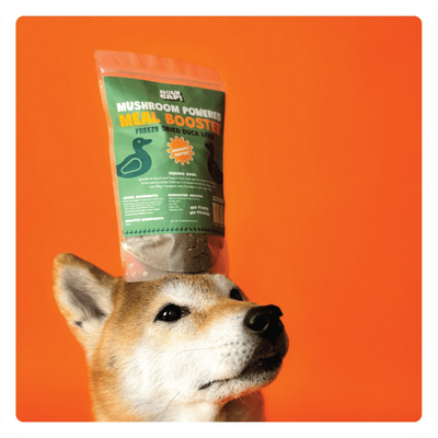 Big Bag Meal Boosters - Immunity (Duck Liver)