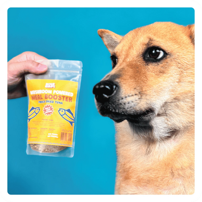 Big Bag Meal Boosters - Skin & Coat (Tuna)