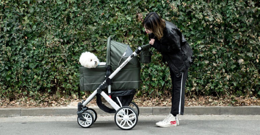 piccolo cane dog stroller TANTO 3 Pet Stroller – Petisan