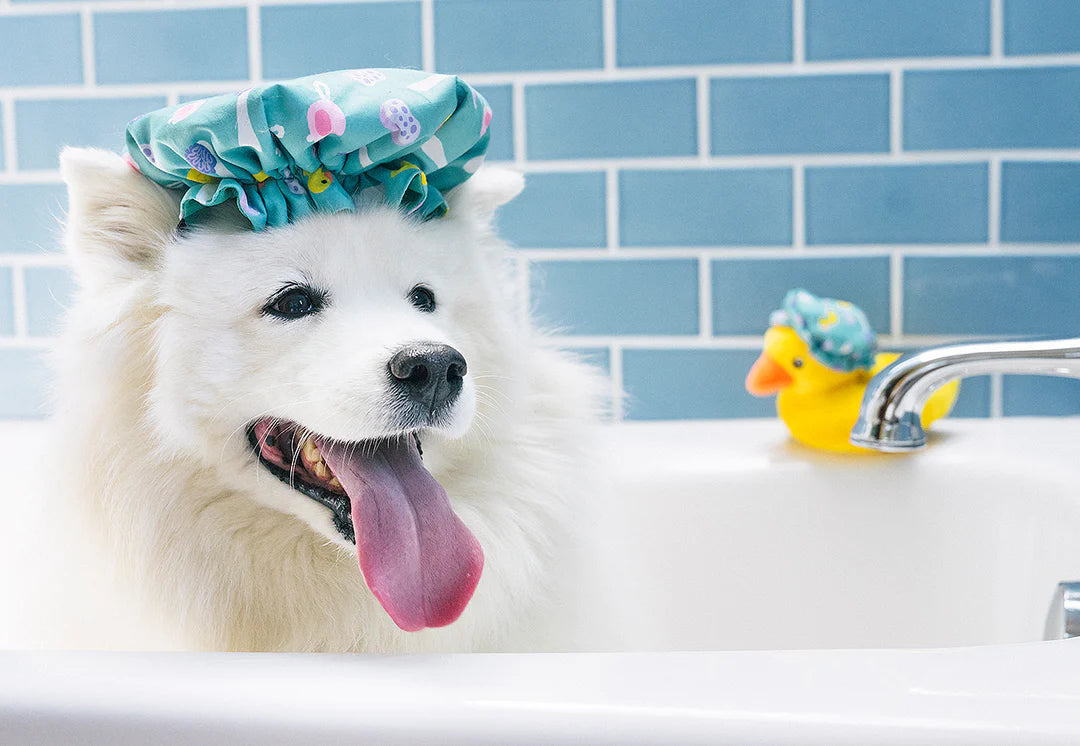寵物毛絨玩具 - 浴室系列 浴帽