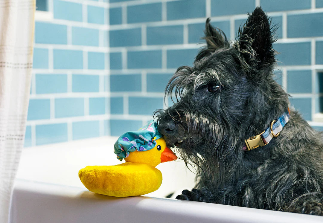 寵物毛絨玩具 - 浴室系列 小黃鴨
