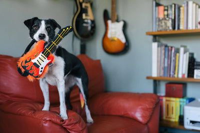 Dog Plush Toy -  90s Classic - Electric Guitar