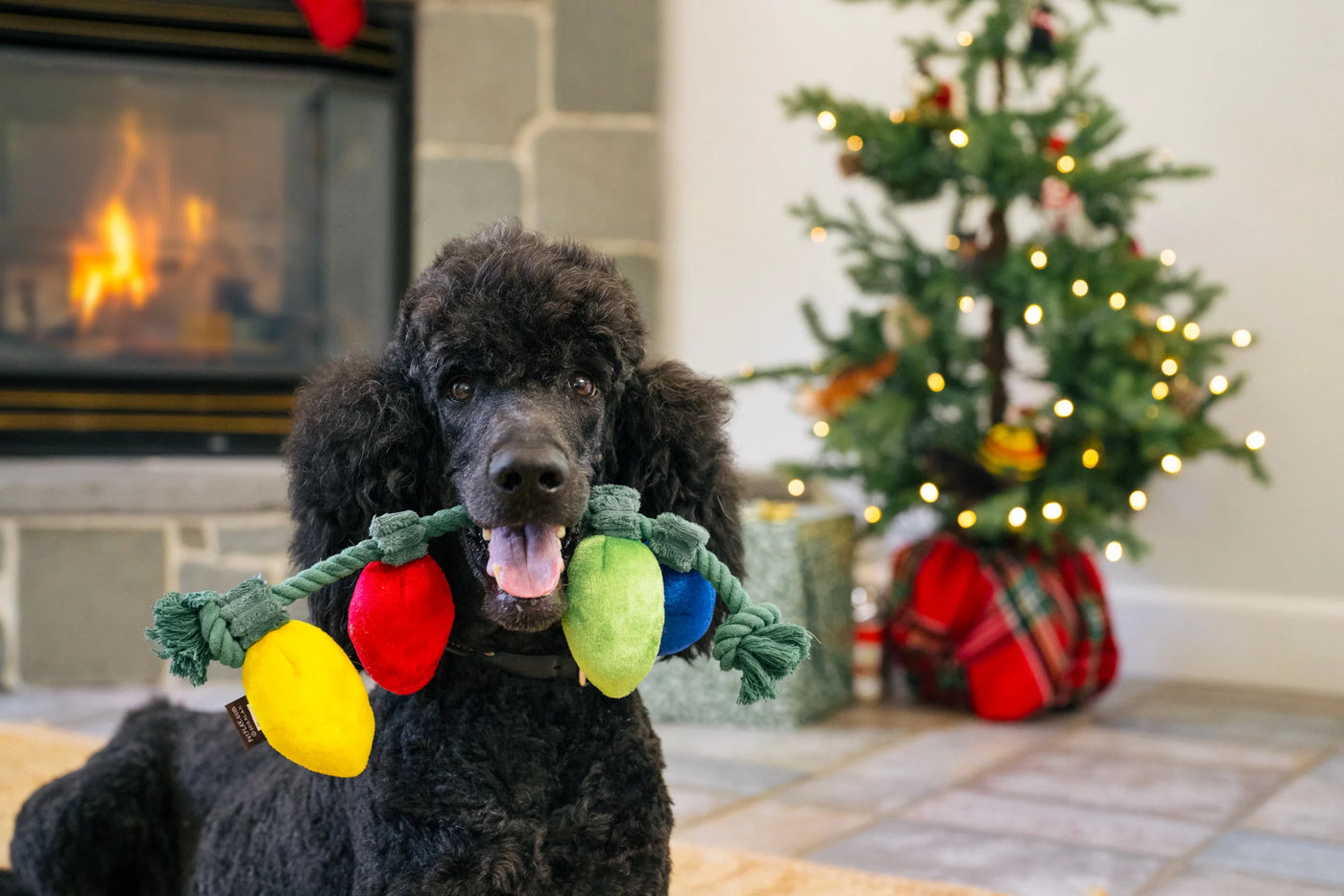 Dog Plush Toy - Home for the Holidays - Twinkly Tugger