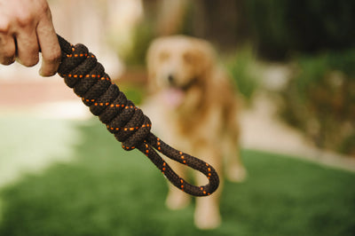 Tug Rope Toy