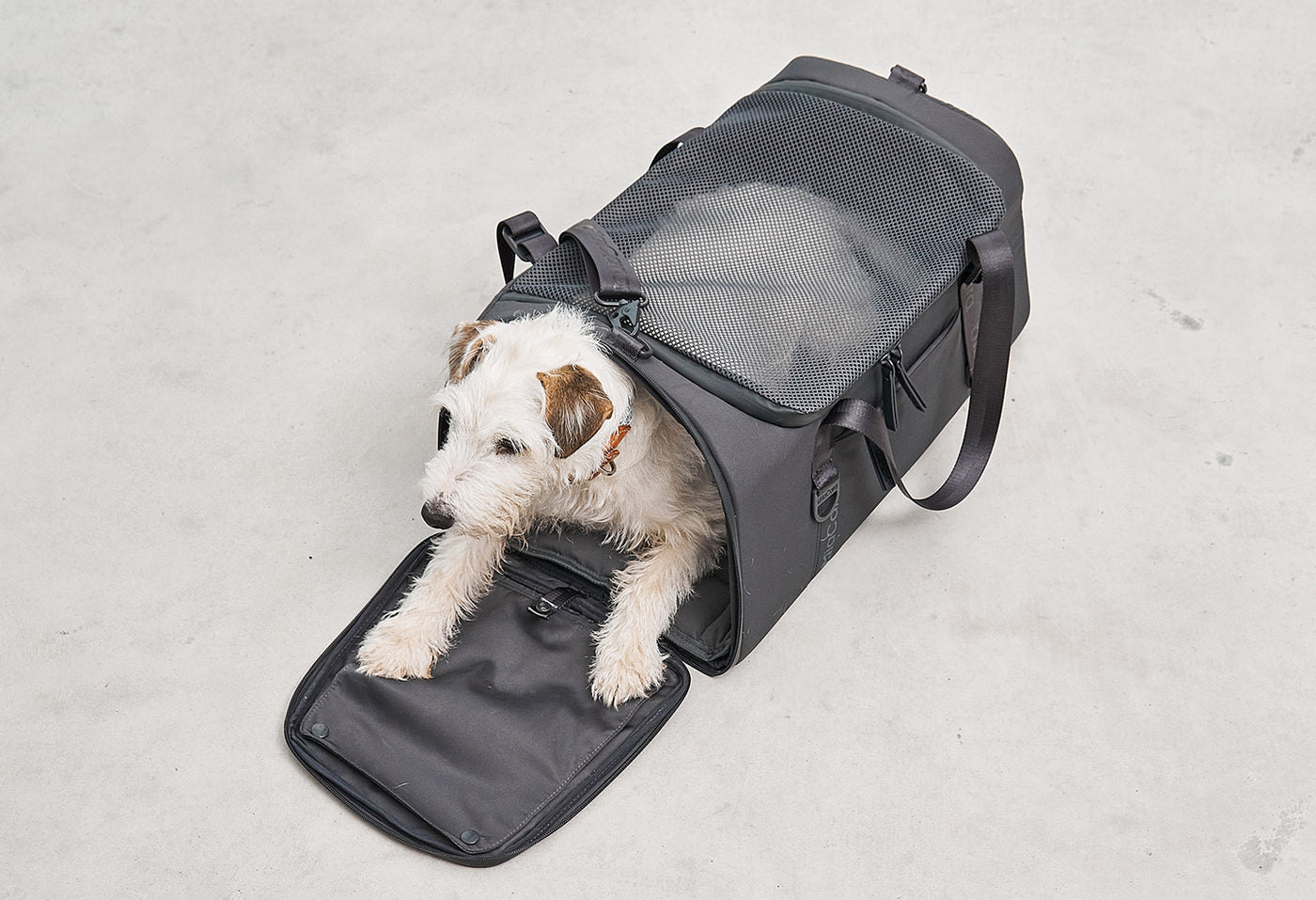 【PRE-ORDER】Volata Dog Travel Carrier
