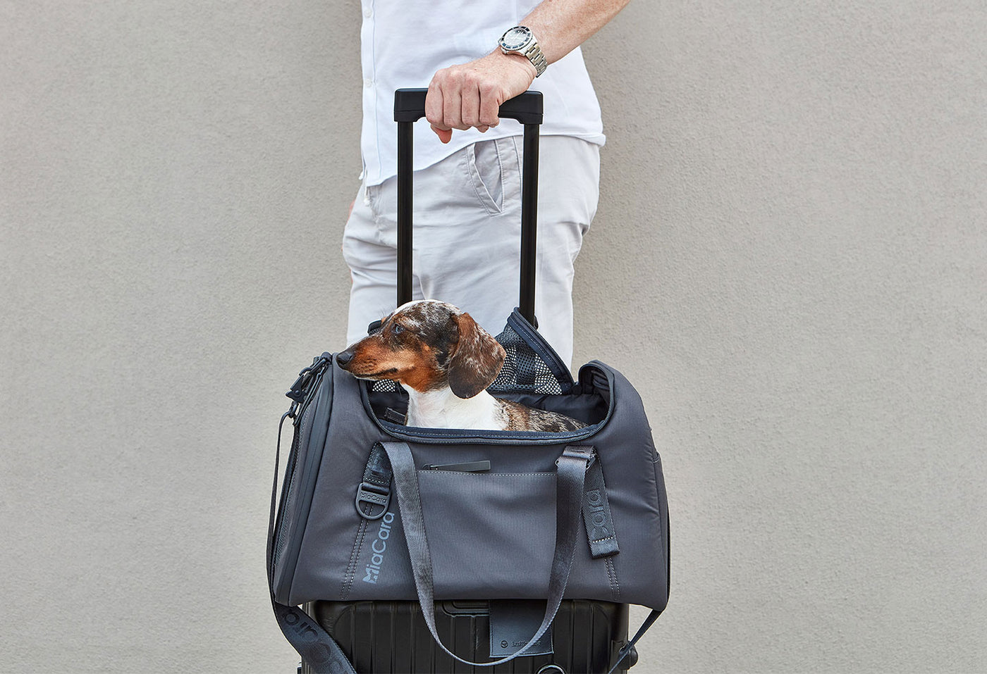 【PRE-ORDER】Volata Dog Travel Carrier