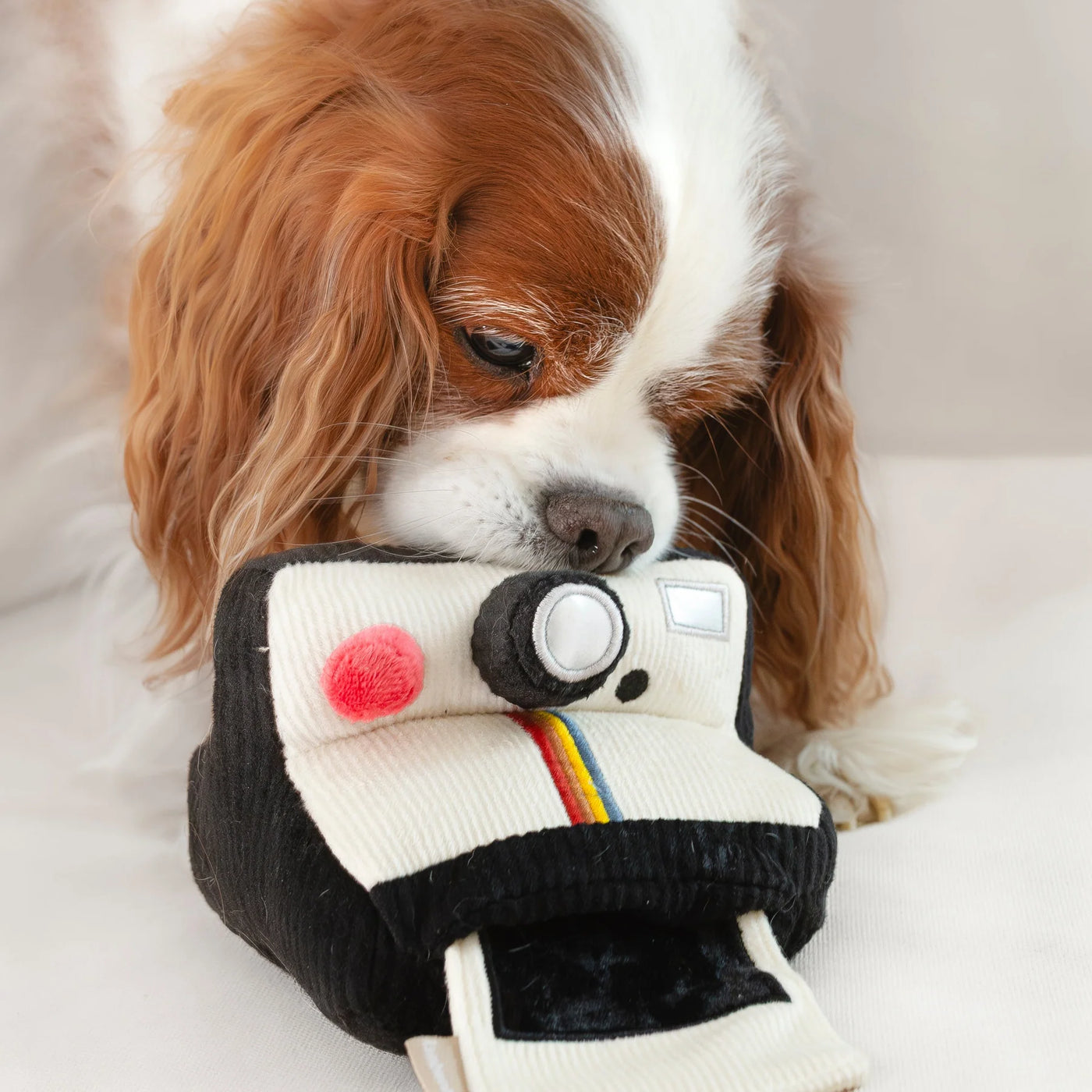 INSTANT CAMERA - snuffle + squeaky
