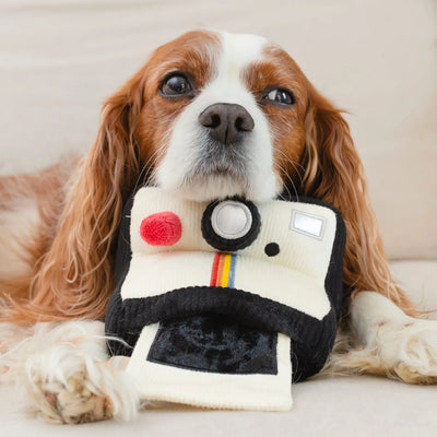 INSTANT CAMERA - snuffle + squeaky