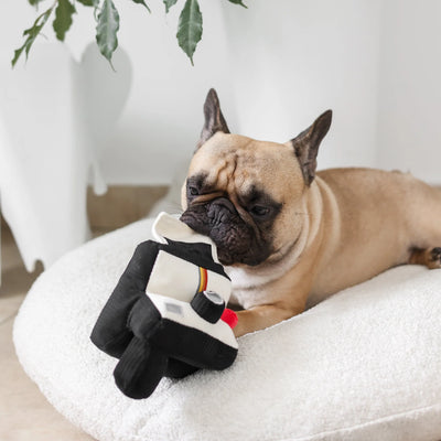 INSTANT CAMERA - snuffle + squeaky
