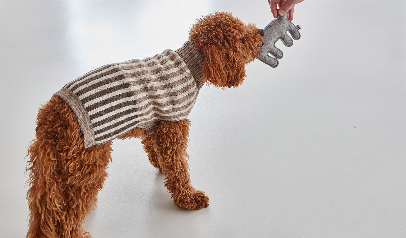 【PRE-ORDER】Filippo Dog Sweater