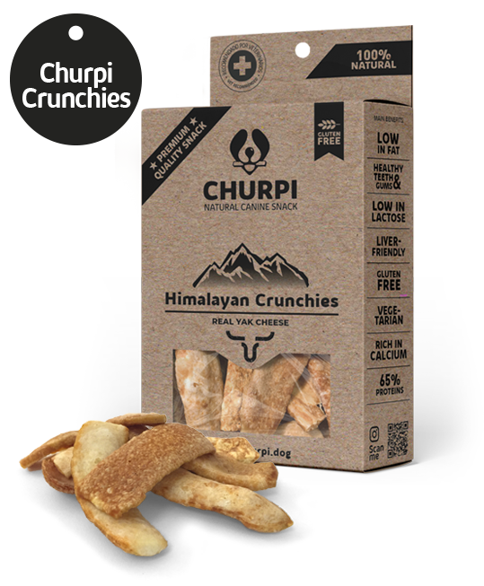 Himalayan Cheese Crunchies