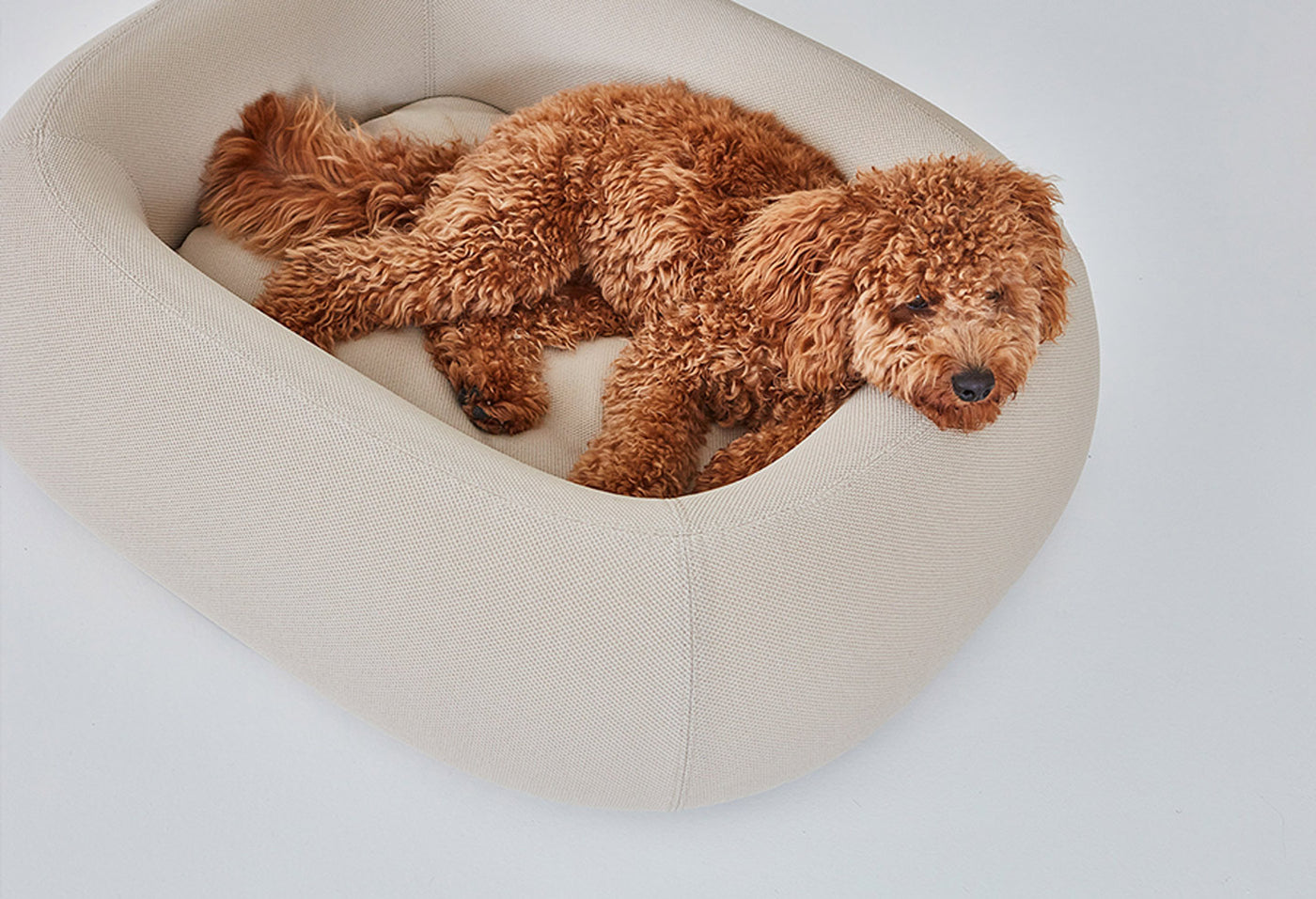 【PRE-ORDER】Barca Dog Bed