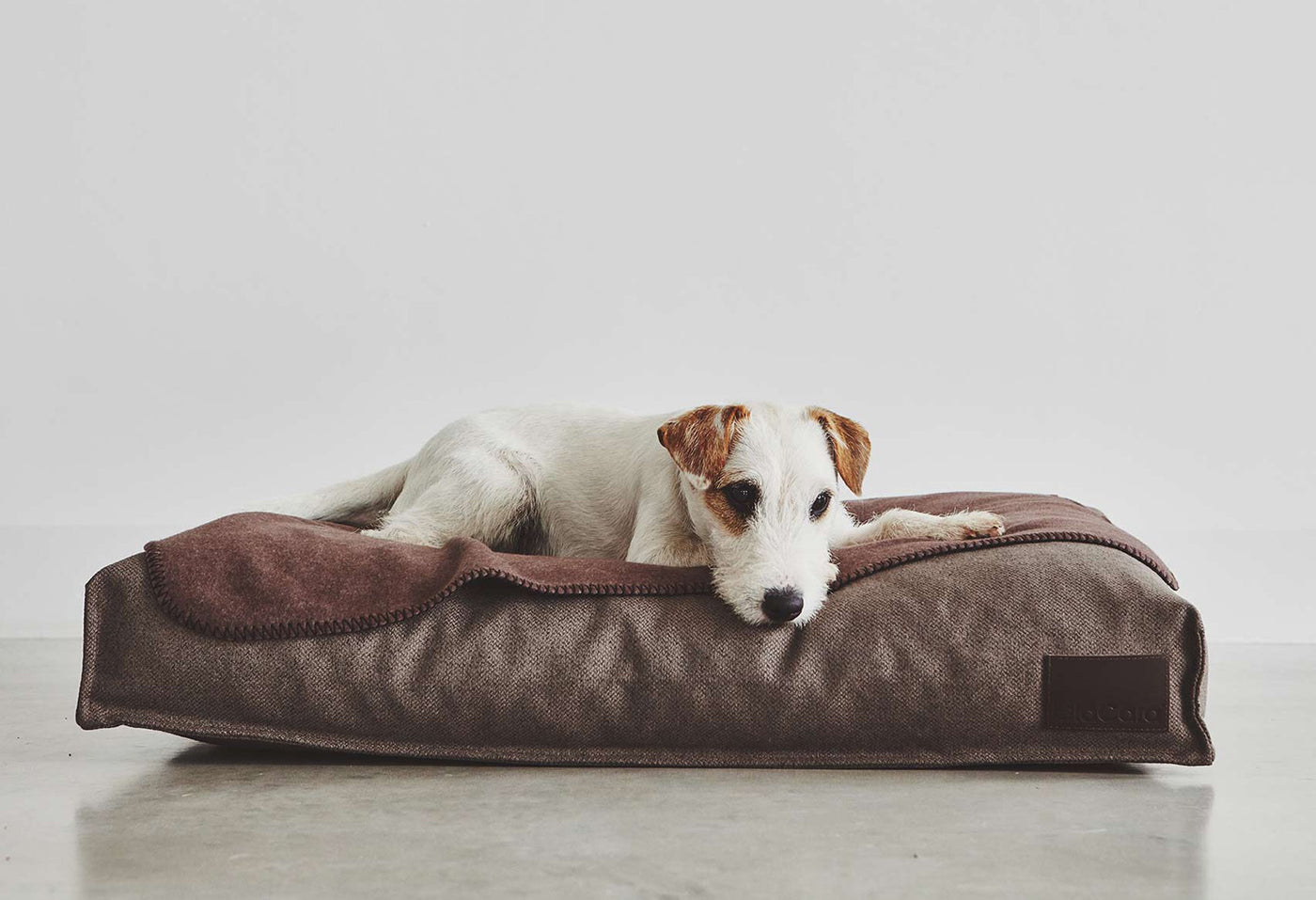 【PRE-ORDER】Divo Dog Cushion