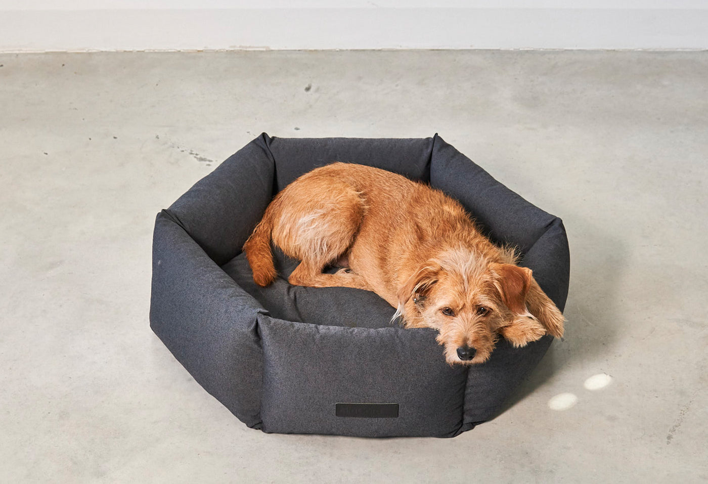 【PRE-ORDER】Felice Dog Bed Hexagon