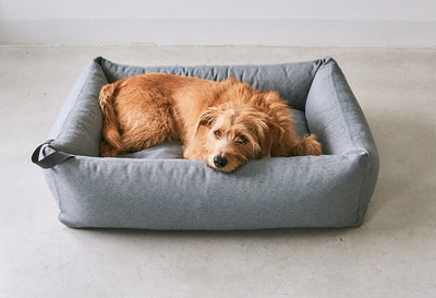 【PRE-ORDER】Mare Box Dog Bed