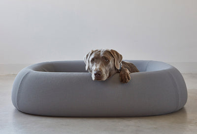 【PRE-ORDER】Barca Dog Bed