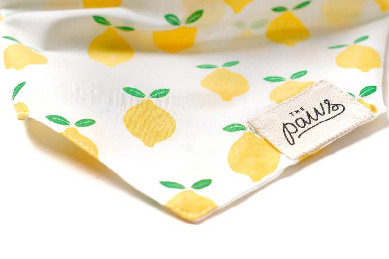 三角巾 - Lemoni