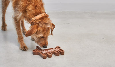 Lepre Activity Toy