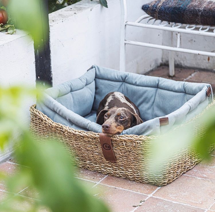 【PRE-ORDER】Dog Basket Hideaway