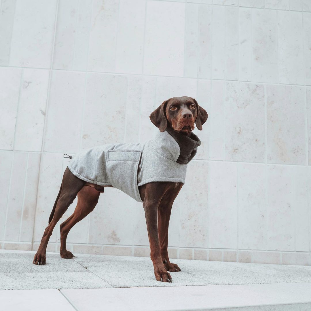 Dog Coat Brooklyn