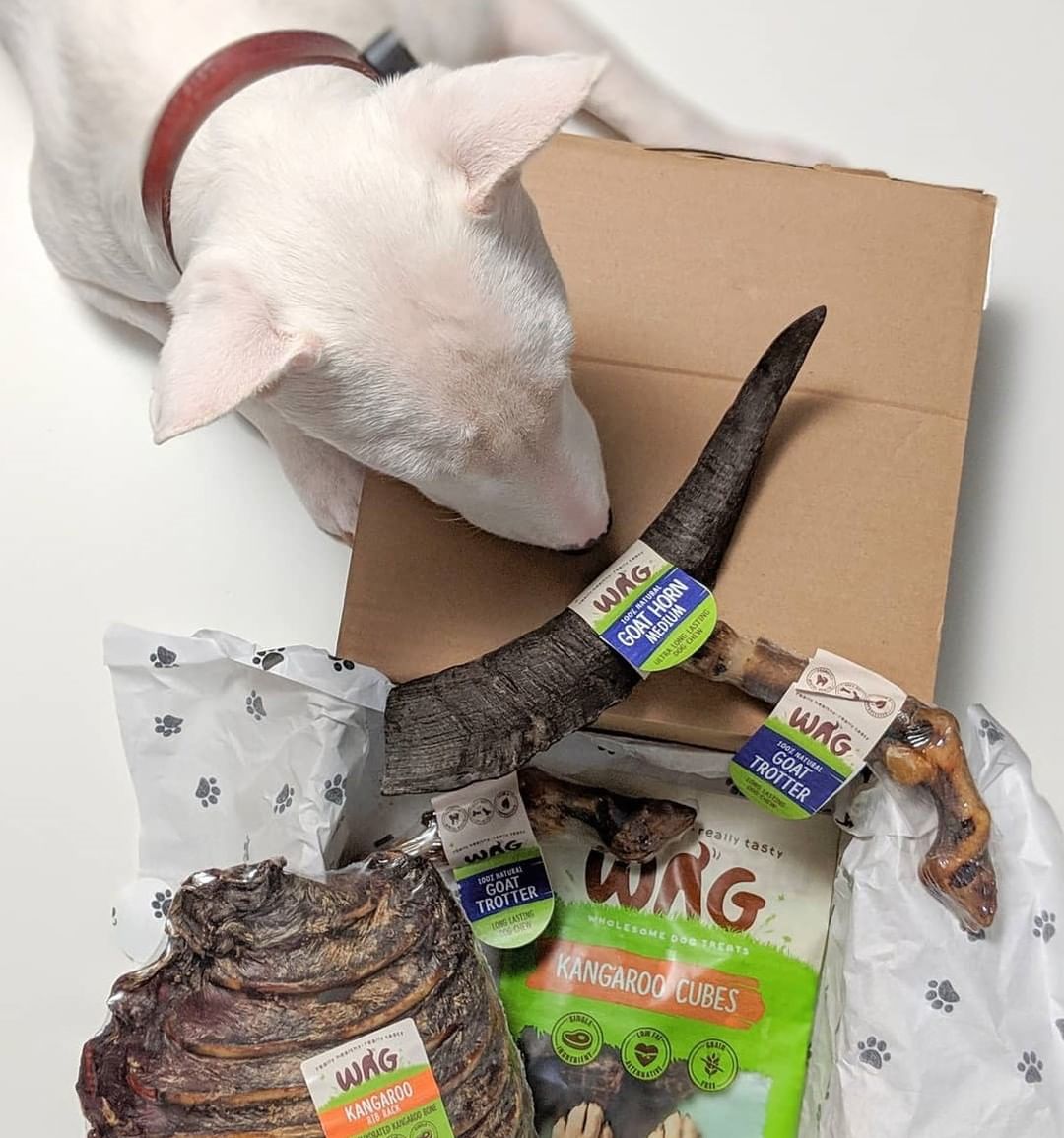 WAG - Kangaroo Rib Rack – Petisan