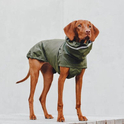 Dog Raincoat Hamburg - Petisan