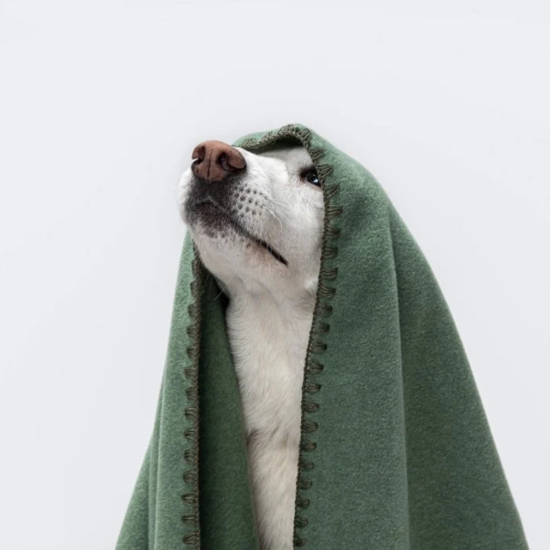 寵物羊毛毯