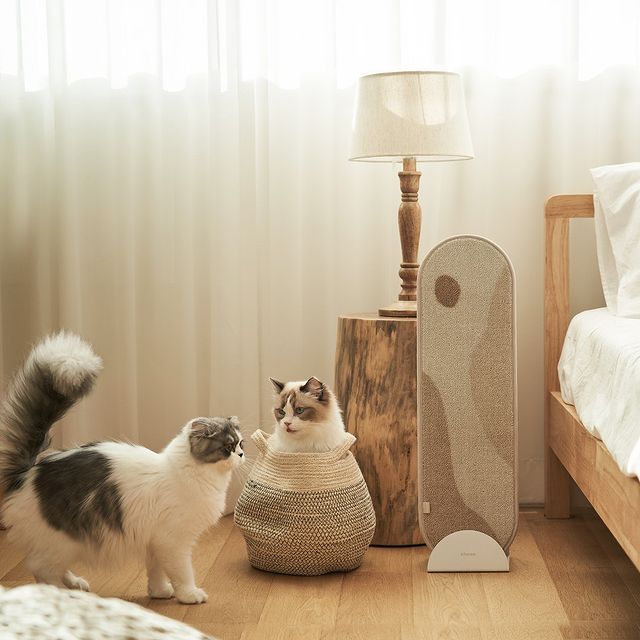 The Art Cat Scratcher