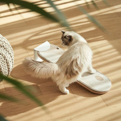 The Art Cat Scratcher