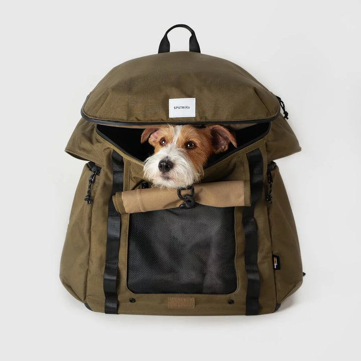 Kong dog backpack hotsell