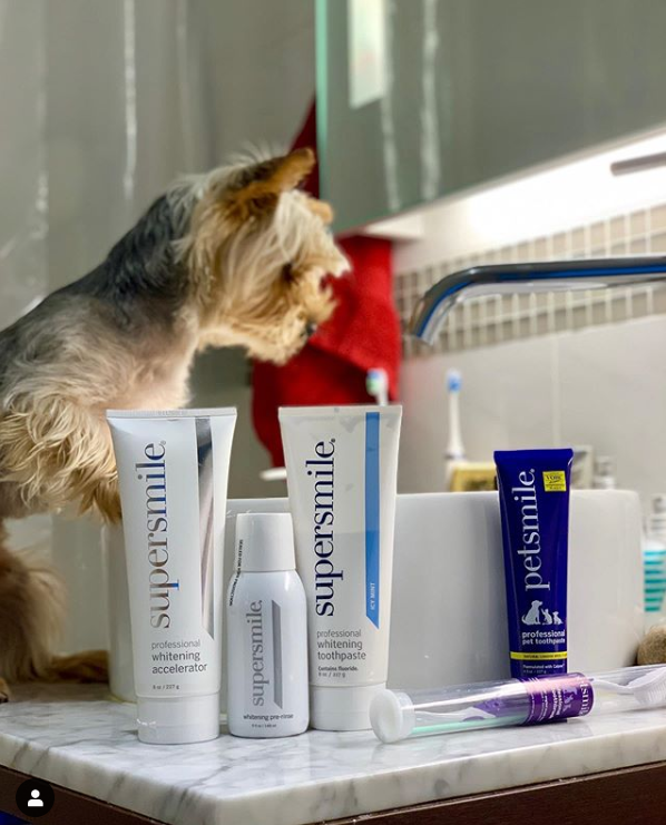 Petsmile Professional Pet Toothpaste Petisan