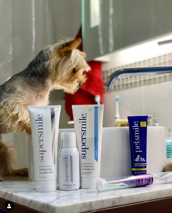 Professional Pet Toothpaste - Petisan