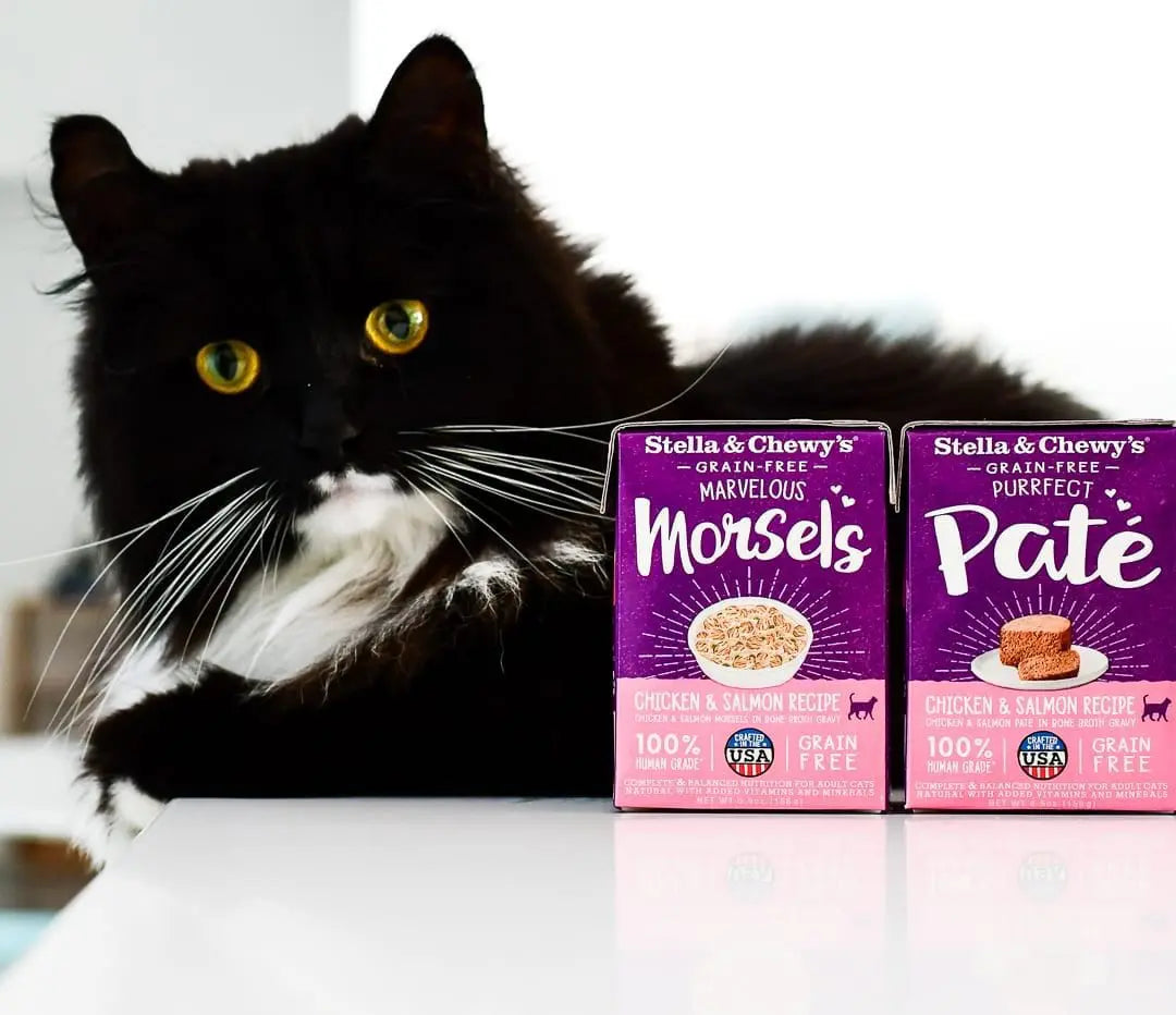 Cat Wet Food - Marvelous Morsels - Chicken & Salmon